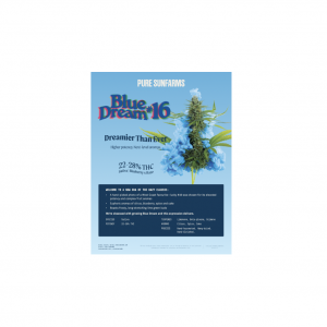 Pure Sunfarms - Blue Dream #16 Info Sheets (Print at home and digital)